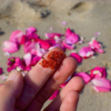 Beach Rose Scrub