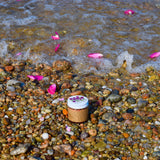 Beach Rose Scrub