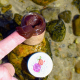 Apricot Rose Scrub Mask