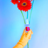 Calendula Face + Body Mist