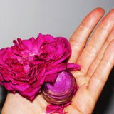 Dragon Fruit Lip Gloss