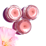 Strawberry Dreamsicle Lip Balm Scrub