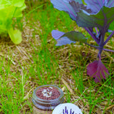 Lavender Scrub